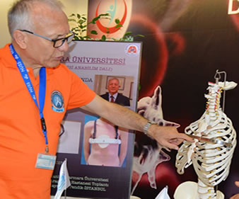 Prof Dr Mustafa Yüksel-Pektus