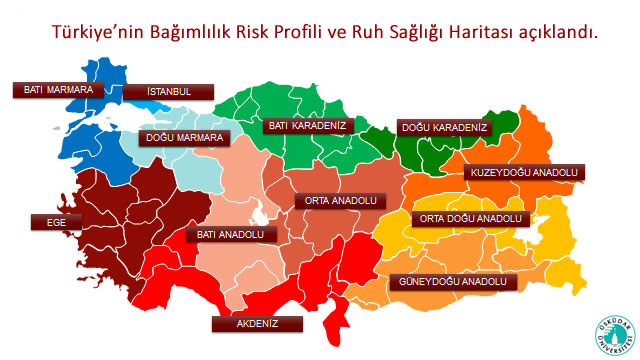 Turkiye Nin Bagimlilik Risk Profili Ve Ruh Sagligi Haritasi Aciklandi