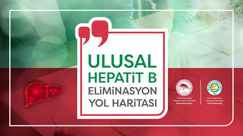 TKAD ve VHSD tarafndan hazrlanan Ulusal Hepatit B Eliminasyon Yol Haritas balkl rapor akland.